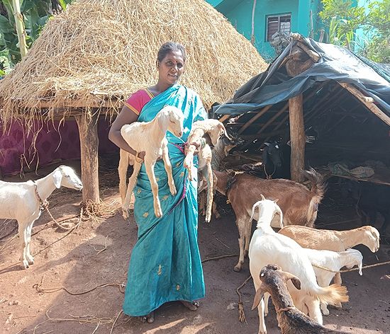 A woman holding a young goat beside her goat shed